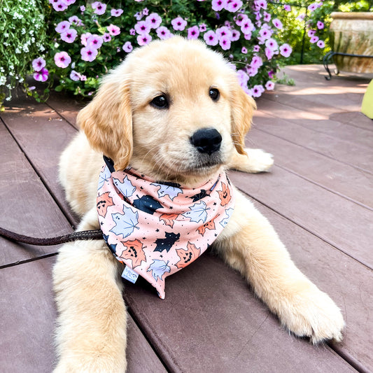 Spooky & Sweet Reversible Dog Bandana