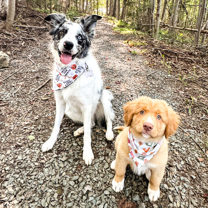 Pumpkin Spice Pup Reversible Weatherproof Dog Bandana