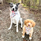 Tricks & Treats Reversible Weatherproof Dog Bandana