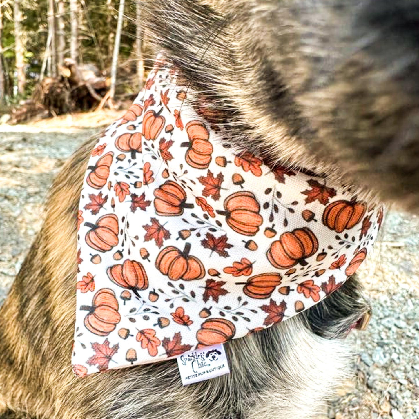 Sweet Harvest Reversible Weatherproof Dog Bandana