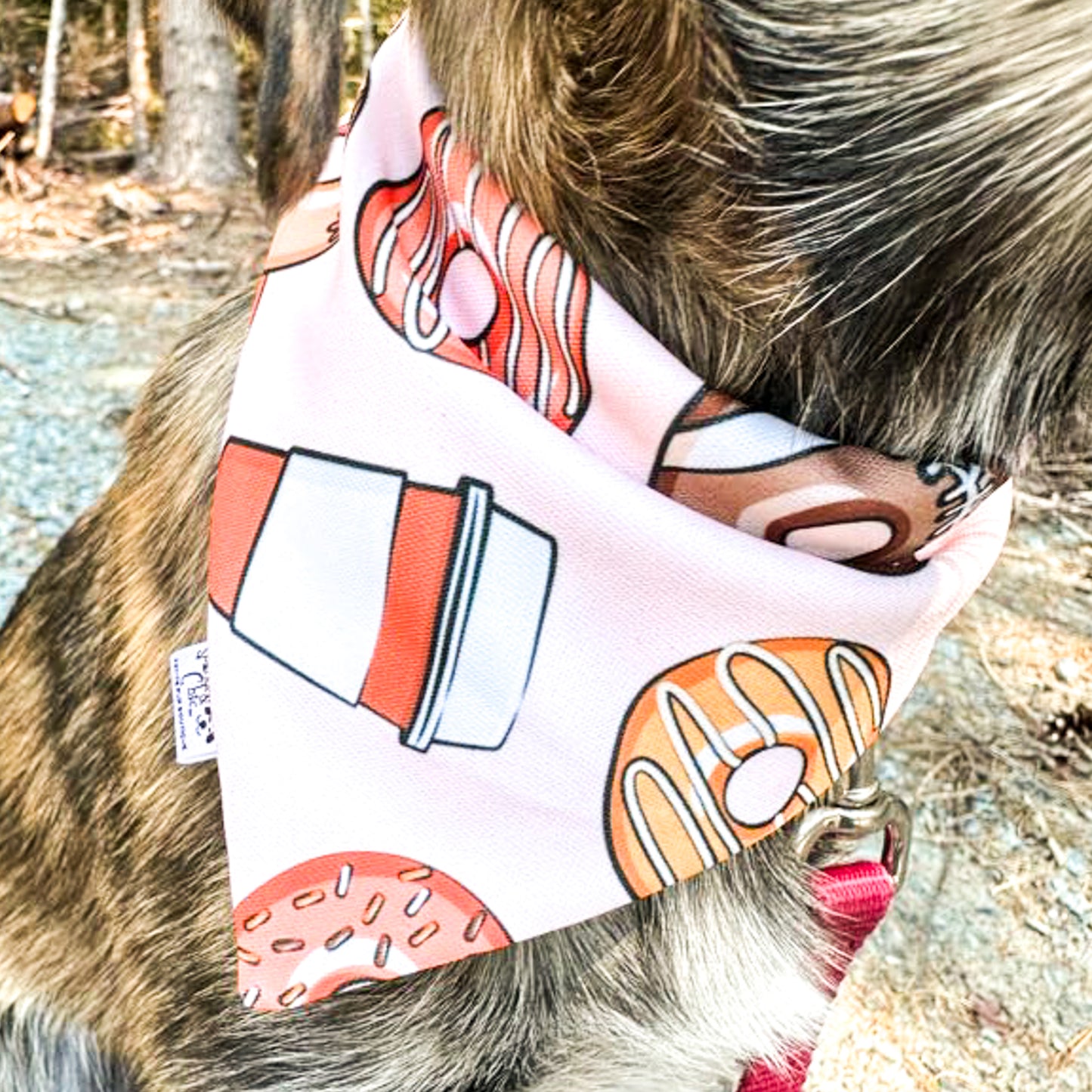 Sweet Harvest Reversible Weatherproof Dog Bandana