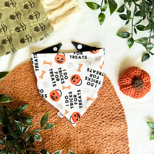 Tricks & Treats Reversible Dog Bandana