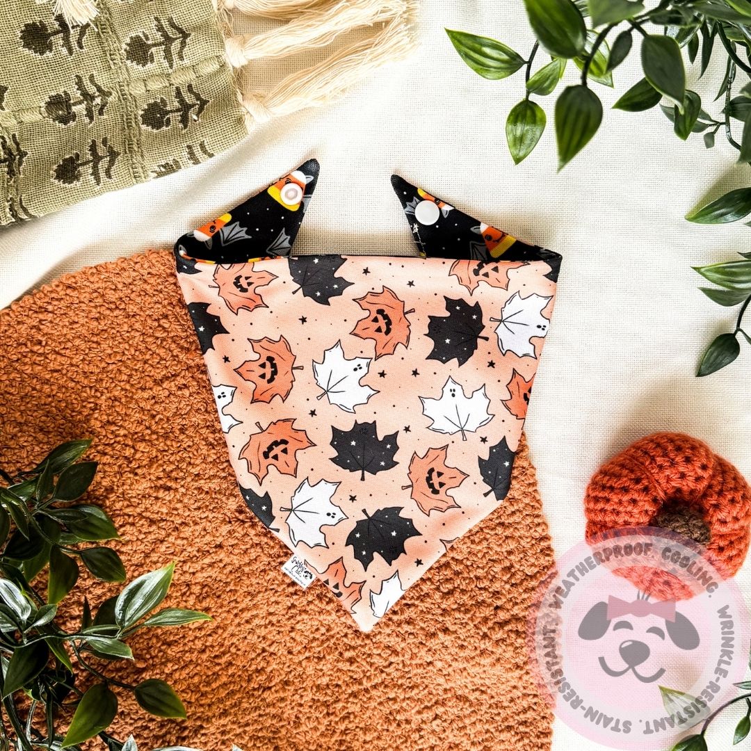 Spooky & Sweet Reversible Weatherproof Dog Bandana