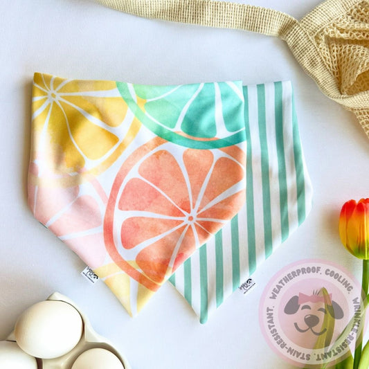 Springtime Charm Reversible Weatherproof Dog Bandana - Sunny Slices
