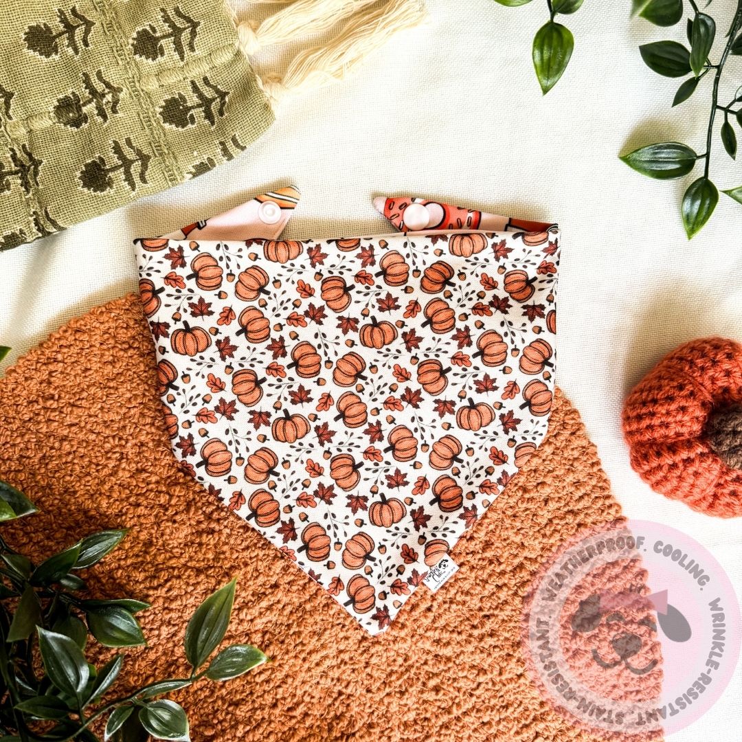 Sweet Harvest Reversible Weatherproof Dog Bandana