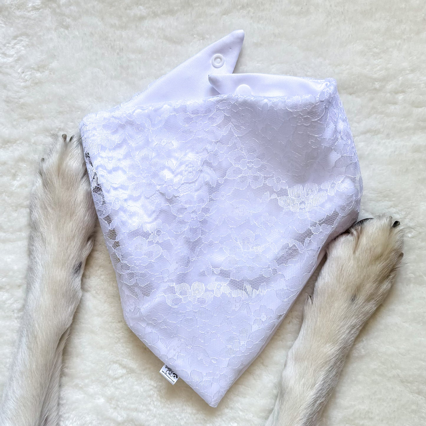 White floral lace wedding dog bandana surrounded by 2 dog paws/legs.